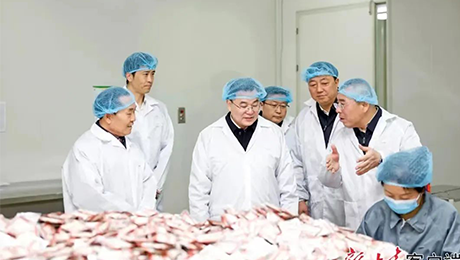 甘肃省委书记胡昌升莅临MK体育健康集团佛仁制药考察调研