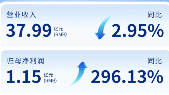 MK体育（002219）发布2024年年度报告：归母净利润增长296%